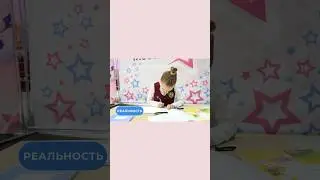 Как гимнастки учатся в школе: ожидание и реальность