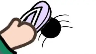 Spiders