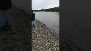 Коля что-то тянет 😳