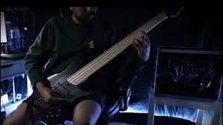 Vaegon- Instrumental Intro Bass Playthrough (Technical Death Metal) Dingwall NG3