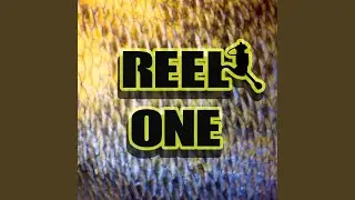 Reel One
