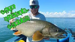 Late Summer Lake Trout!!