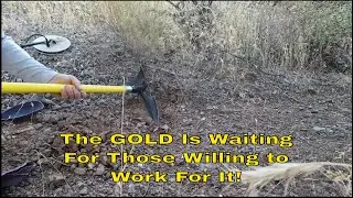 Yep There Is Still Gold In Them Hills