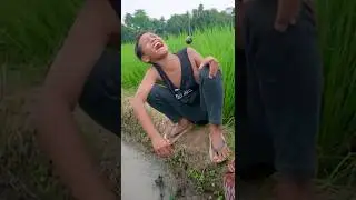 BERBURU BELUT DI SAWAH