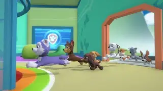 Chase e Everest salvam o Jake - Patrulha Canina - Missão Patinhas