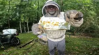 Feeding & Fighting Mites