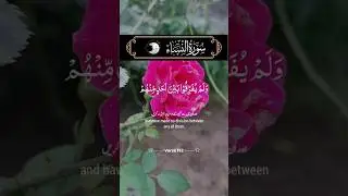 Surah Nisa #shortvideo #shortsvideo #nature #shorts #short