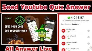 Seed YouTube Quiz Answer | Seed Academy Quiz | Seed Quiz Answer | Seed Question answer |#seedmining