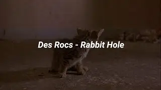 Des Rocs - Rabbit Hole (Lyrics) (Trainspotting)