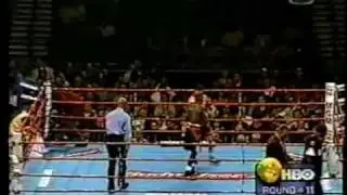 Floyd mayweather vs Gregorio Vargas part 4
