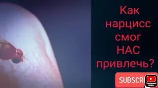 Как нарцисс смог НАС привлечь?