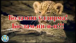 Боламни ўлдирма! Боламни!!!