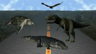 Highway Of Life: From Mammals To Primates
