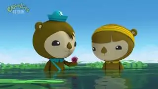 Octonauts Season 3 The Urchin Invasion