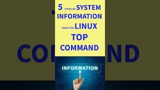 5 Surprising Linux Top Command Discoveries #elementaryos