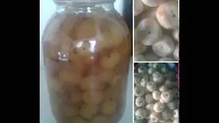 Mayda olmacha(ya’ni iskana olmacha)dan murabbo tayyorlash.