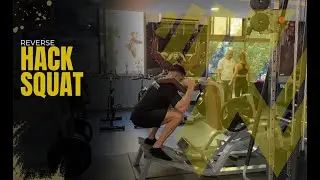 Reverse Hack Squats | Build Powerful Legs with Proper Form!