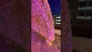 Moscow winter ❄️ у канала Montrèal Milano