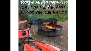 Salt in the air, blood on our hands! Seldovia, Alaska! Catching sockeye salmon! 