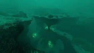 Subnautica. Обломки Авроры в Редком рифе