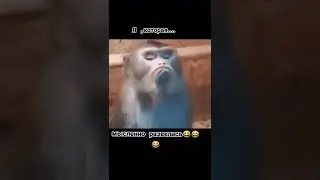 Когда поругалась с мужем 😄