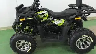 Обзор квадроцикла Motoland Wild track 200 pro