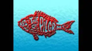 The Pilgrims - My Own Mind