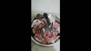 FISH | தேங்காய் பாறை | Thenga Paarai | Coconut Trevally fish