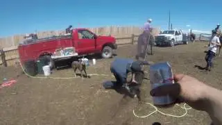 Snowy owl ranch Branding