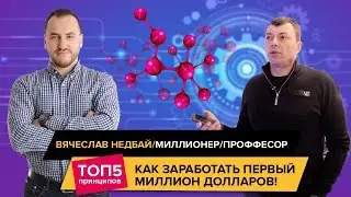 Вячеслав Недбай. Миллионер. Профессор. Как заработать первый миллион долларов?