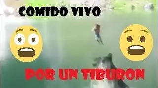 Hombre comido vivo por un tiburón VÍDEO SIN CENSURA 2018