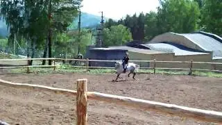 Выступление всадницы