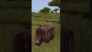 MINECRAFT LIVE 2023 | ИТОГИ