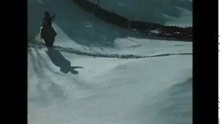 Сам пью сам гуляю