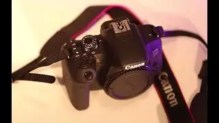 Canon 800D Review