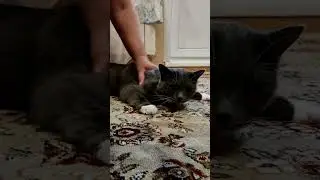Вот оно счастье!