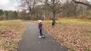 November walk