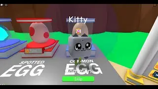 KITTY! Oh No, Oh No, Oh No No No