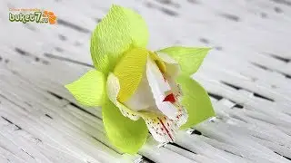 Crafts КОН ORCHID OF CANDY ☆ Paper Flowers ☆ Corrugated Paper Orchid