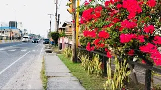 Explore the East Bank Public Road at Houston Village