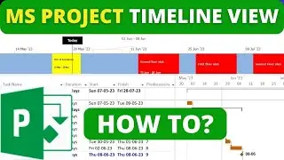 MS Project Timeline view | Timeline in Microsoft Project