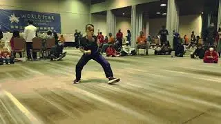 World Star Chinese Martial Arts Competition - Hendrix Sani