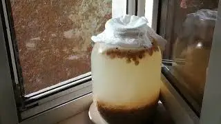 ОВСЯНЫЙ КВАС  ИГРАЕТ