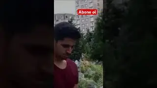 Neyi arıyorsun ?