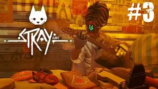 Finding Music - Stray - #3