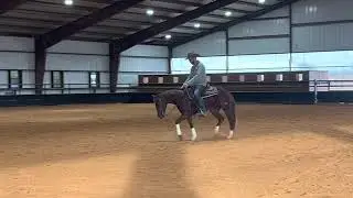 SS Classic Whiz Hip #86