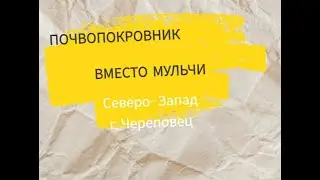Почвопокровник для того чтобы не полоть!