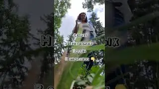 👉 Использовать необычный ракурс.  👉 интересный монтаж.⠀👉Текст - вынуждает досматривать до конца