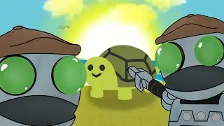 This video is about turtles