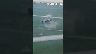 P-51s strafing Luftwaffe airfields in 1945 #ww2 #wwii #aviation #airplanes #history #shorts